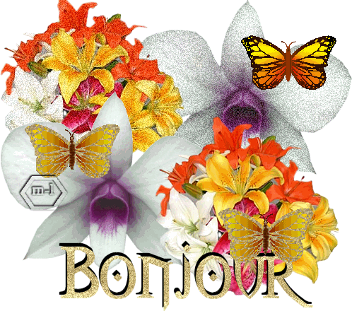 bonjour à tous et merci de vos passages sur mon blog